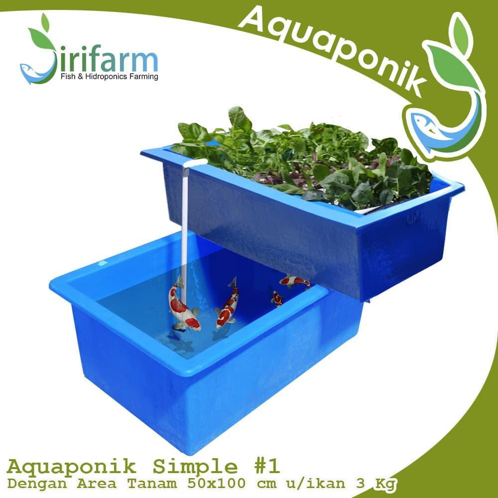 Akuaponik
