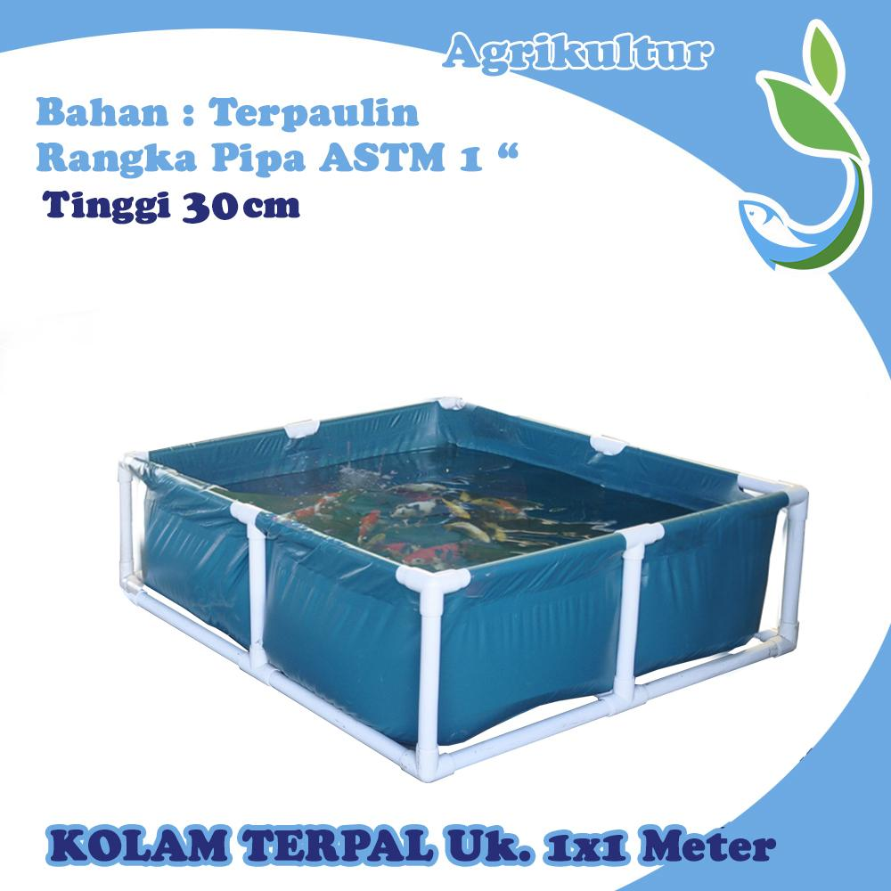 Kolam Terpal ukuran 100x100x30 cm kolam bibit / kolam floating raft
