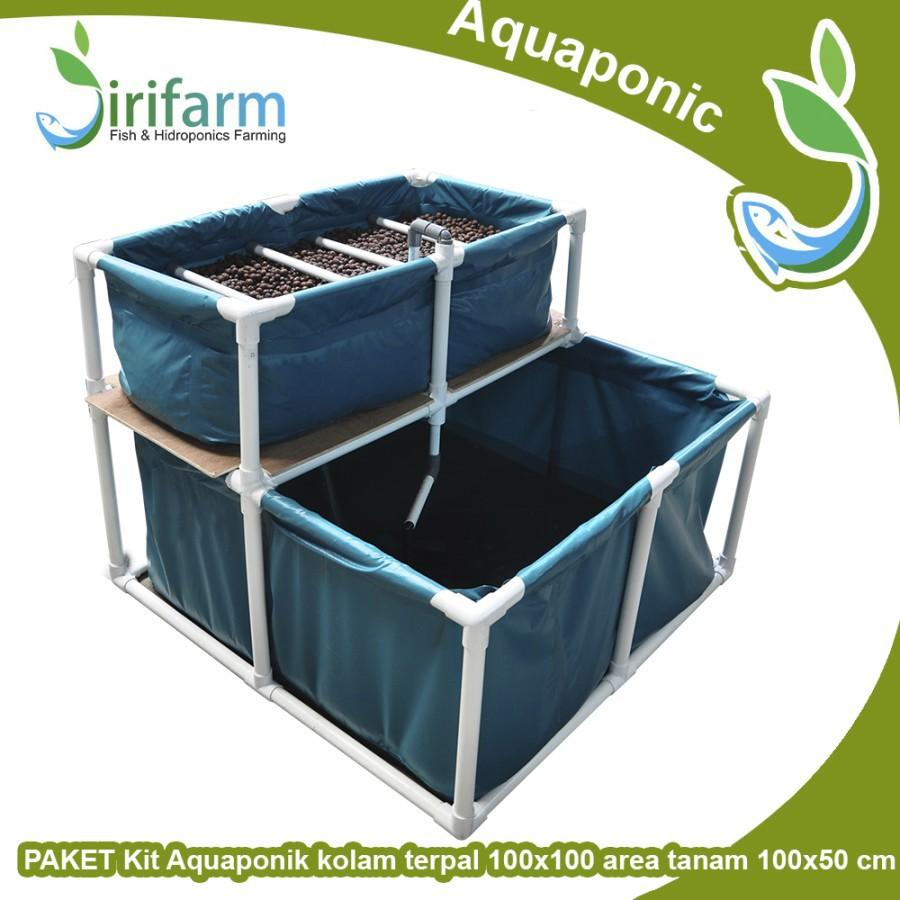 KIT Akuaponik SIMPLE 1 KOLAM TERPAL 100x100x30 Area Tanam 100x50 cm