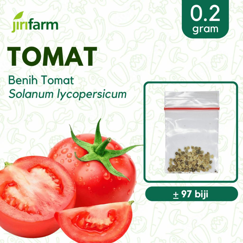 JIRIFARM - Benih Bibit Tomat Tanaman Sayuran Buah Seribuan Unggul